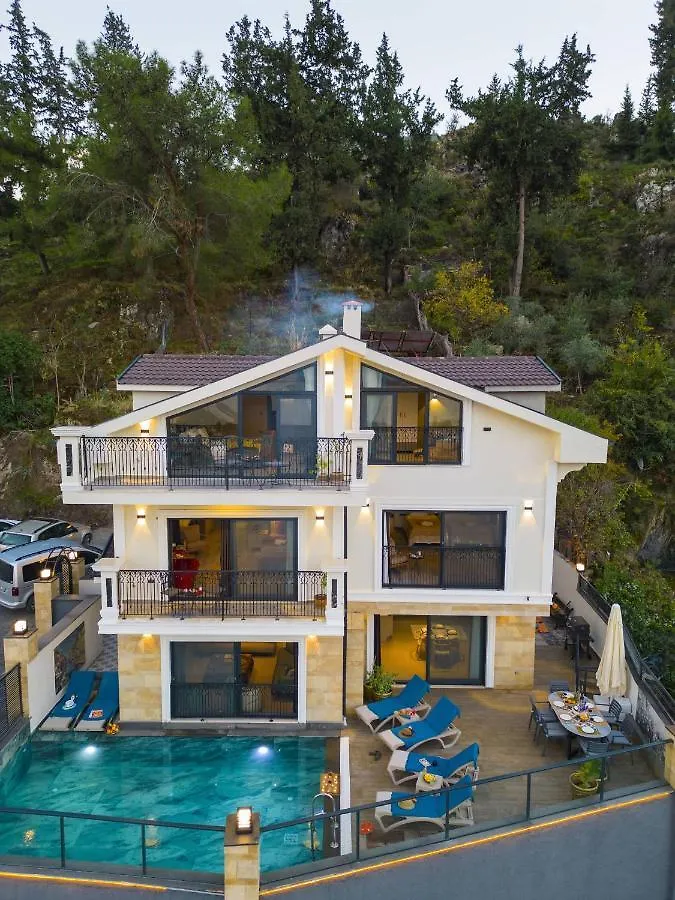 Villa Porto- 3 Bedrom Private Pool Holiday Villa 费特希耶